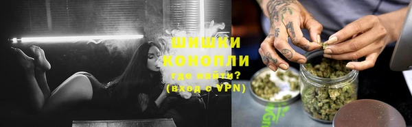 мяу мяу мука Абаза
