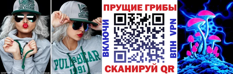 Купить  Краснодар  Галлюциногенные грибы Psilocybine cubensis 